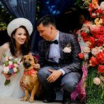 Un shooting mariage avec chiens : capturer des moments inoubliables