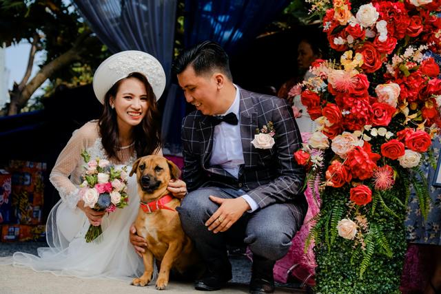 Un shooting mariage avec chiens : capturer des moments inoubliables