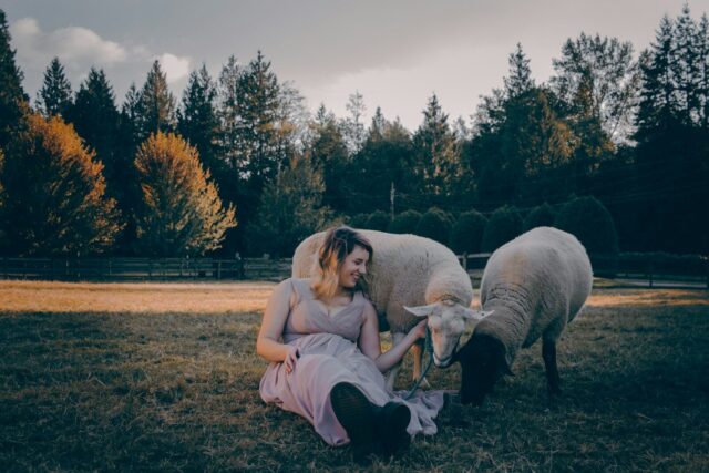 Mariage et animal de compagnie